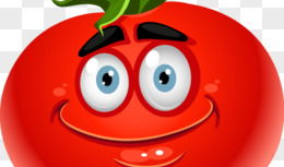 番茄动漫,描绘青春梦想的彩色画卷