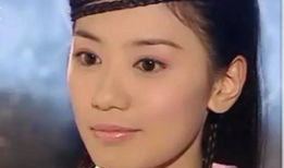 电视剧女星,揭秘电视剧女星背后的辉煌人生